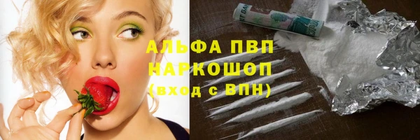 тгк Бородино