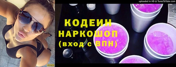дживик Верхний Тагил
