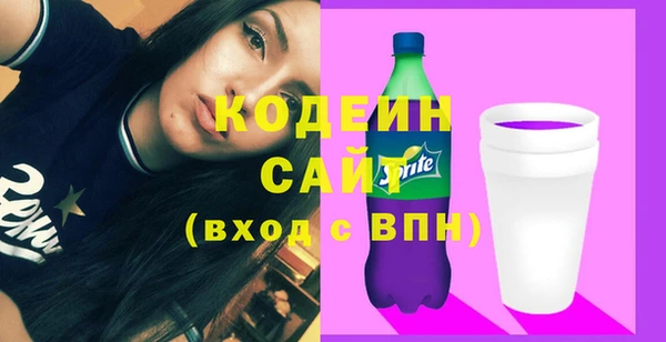 дживик Верхний Тагил