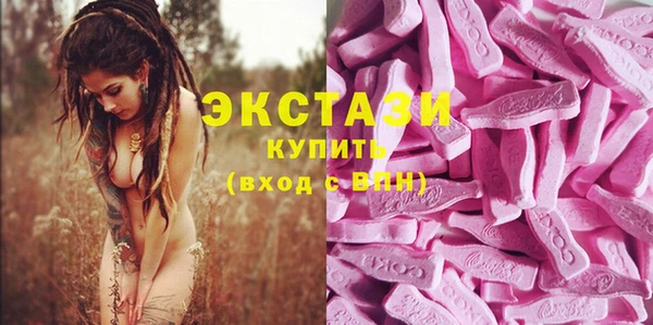 дживик Верхний Тагил