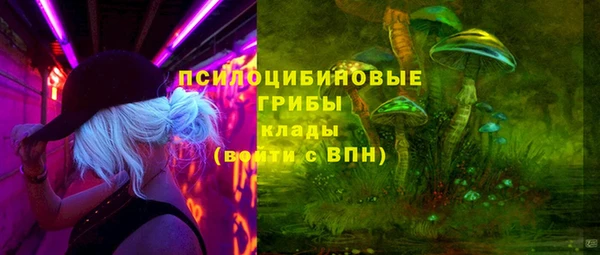дживик Верхний Тагил
